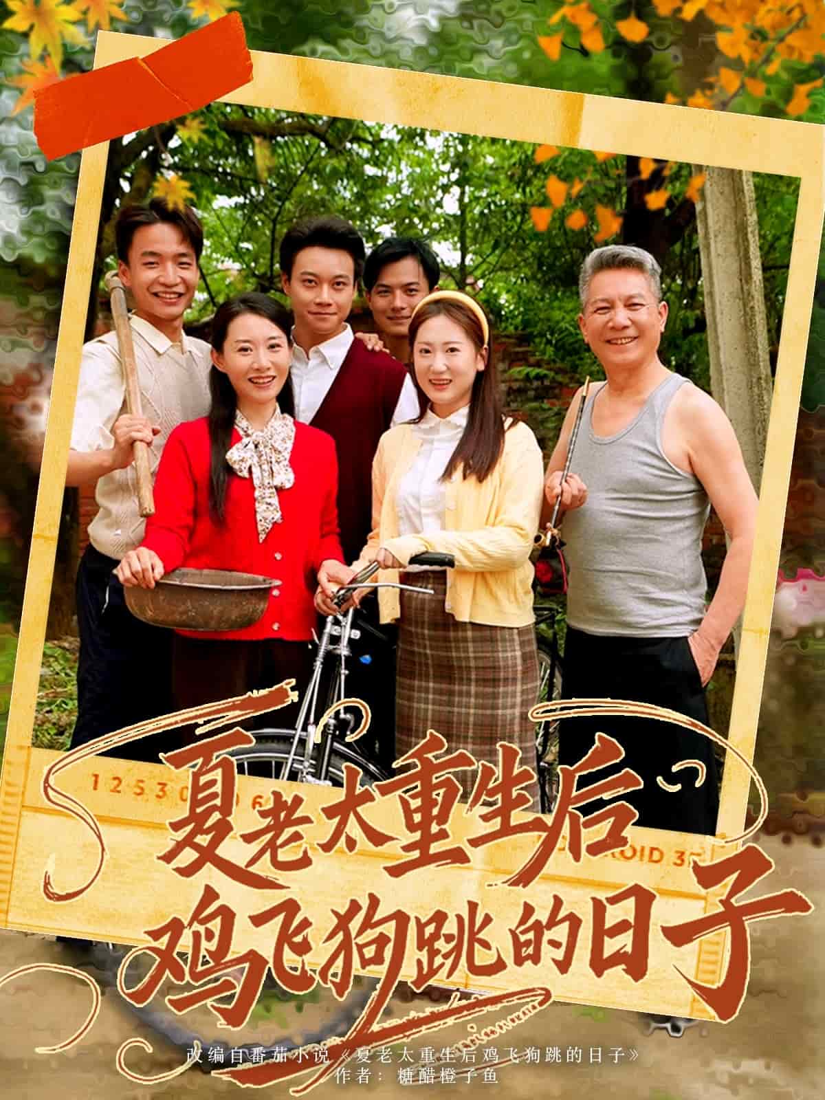 夏老太重生后鸡飞狗跳的日子